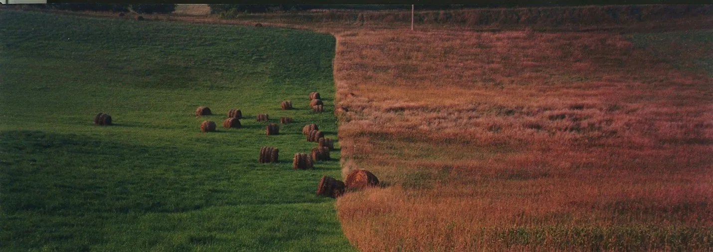 green grass and round hay bales on left, tall yellow prairie grass on right