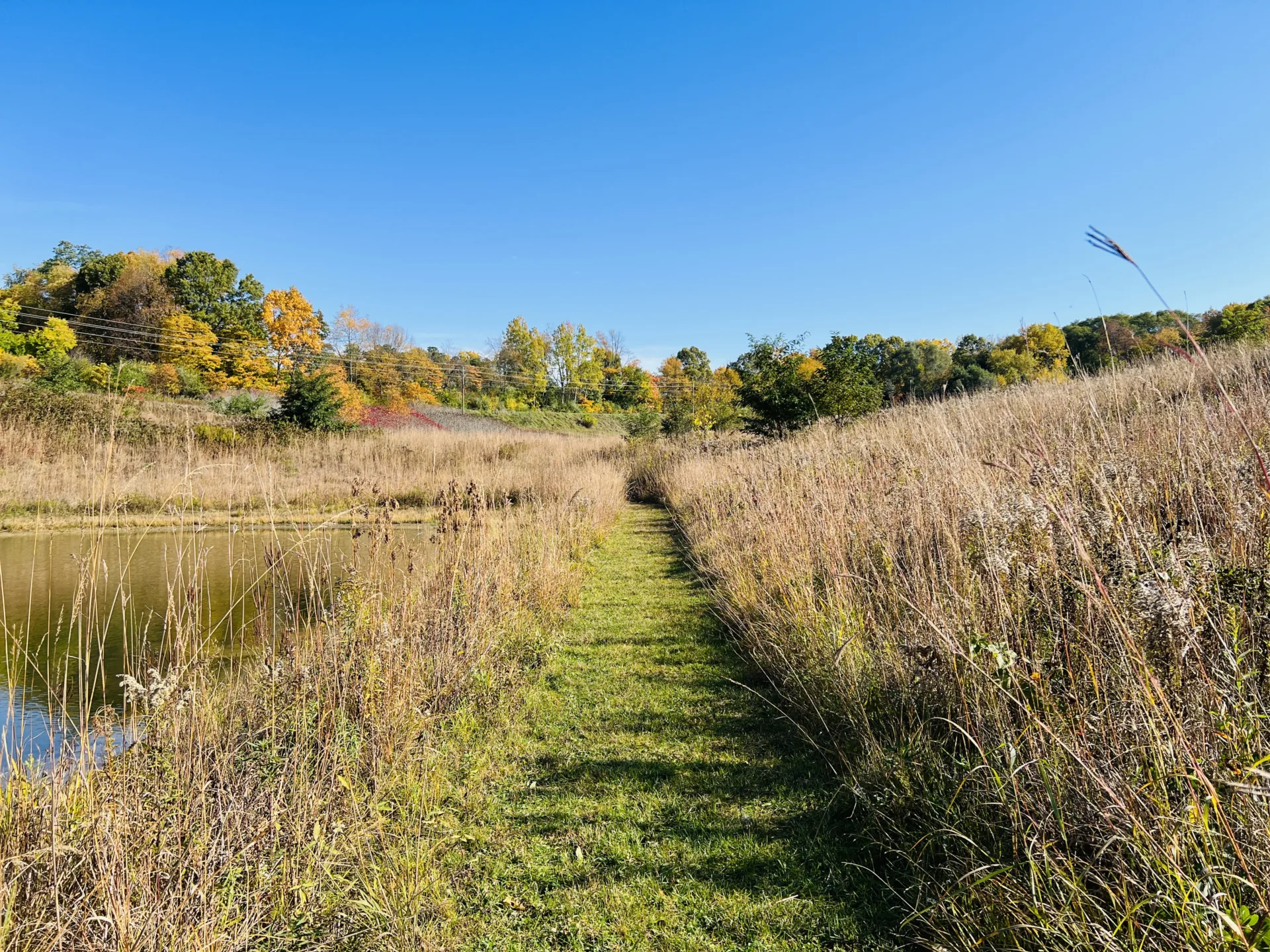 grassy path between prairie grasses beside pond in fall/autumn