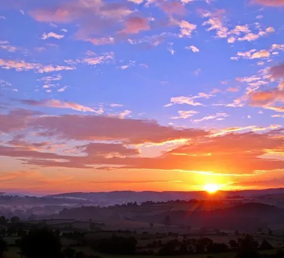 sun setting with pink clouds over a valley with fog and trees