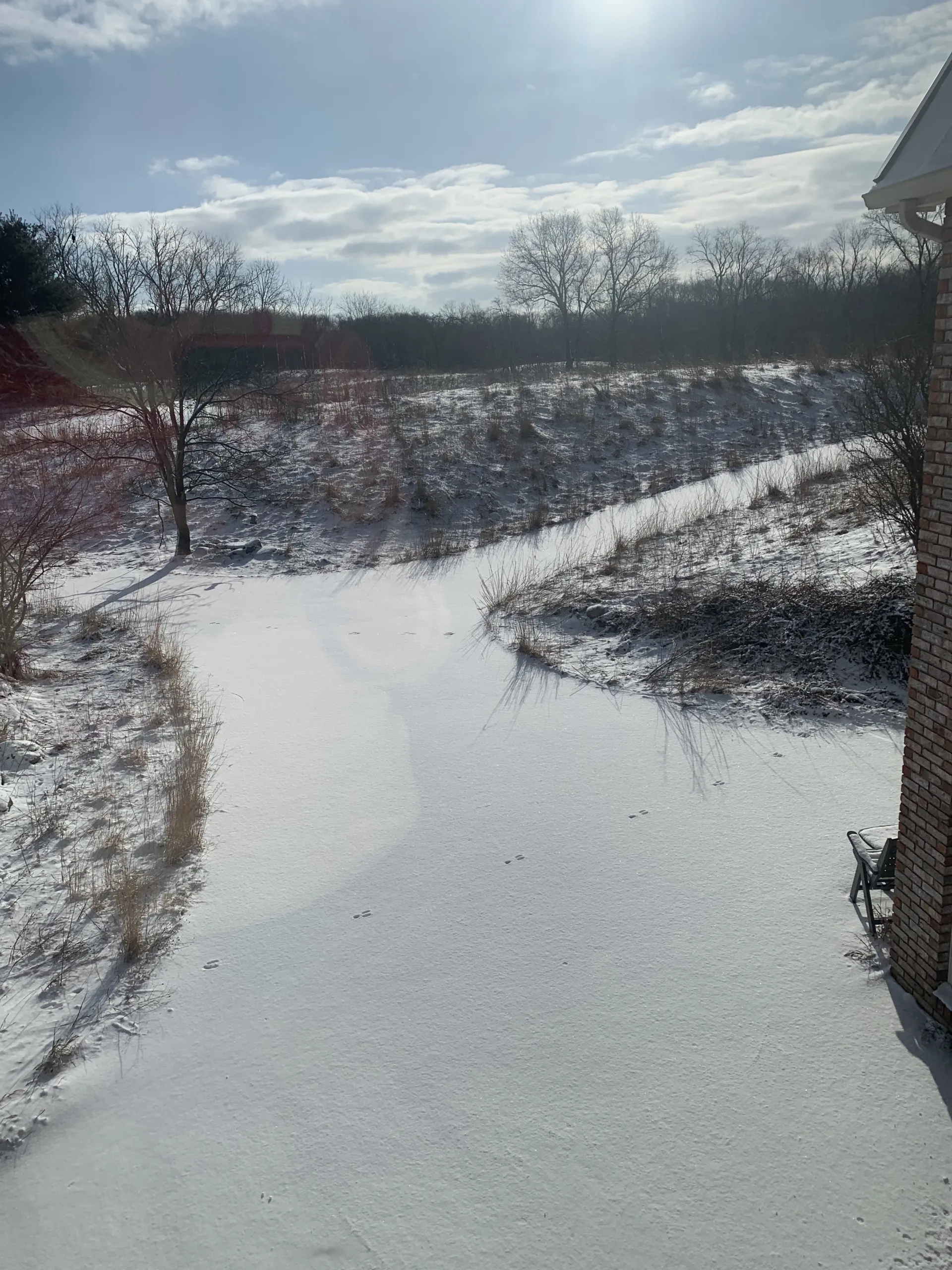snow-covered patio with animal tracks running across